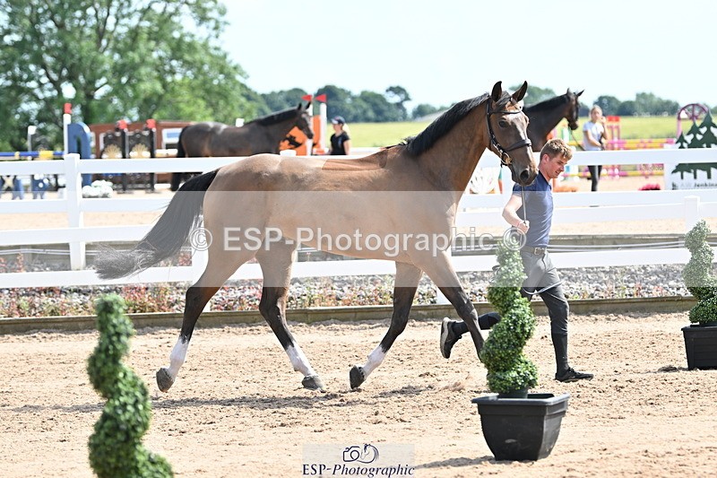 240717A-153536-02903 - Trot Up 3pm to 4pm