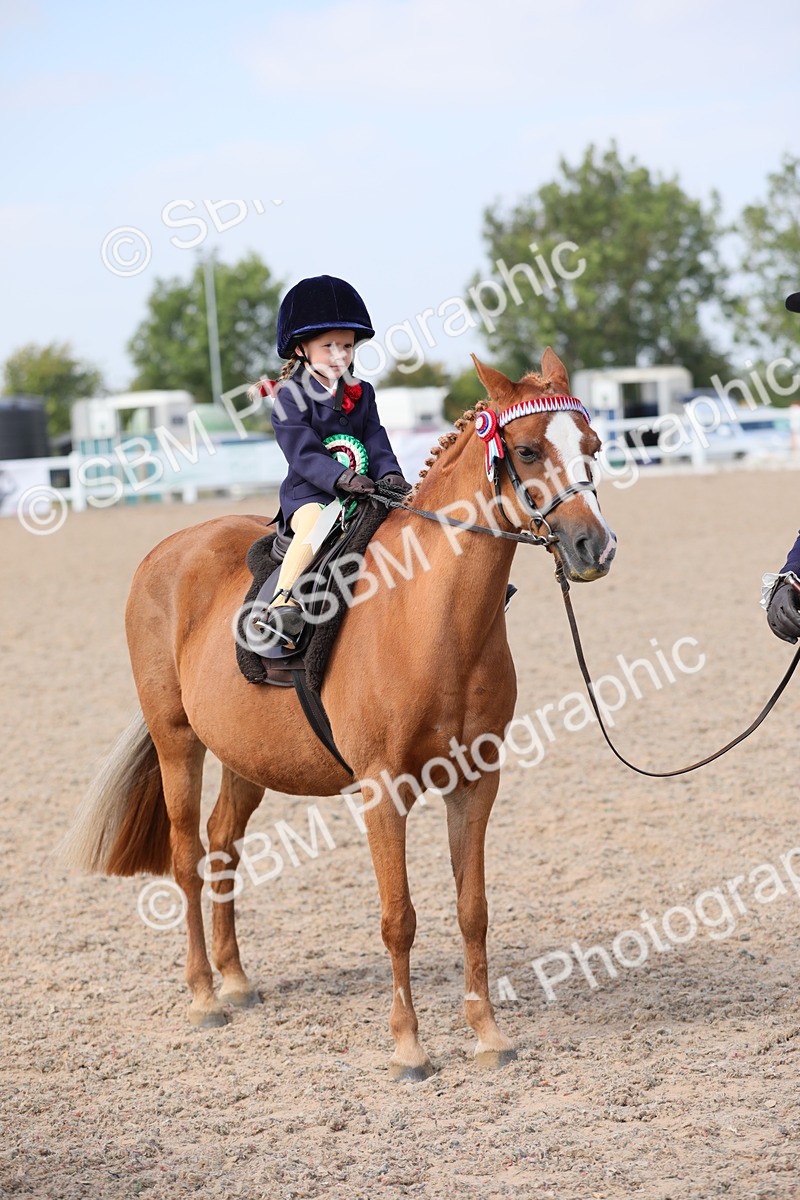 SBM_14114 - Class 309 Lead Rein Pony