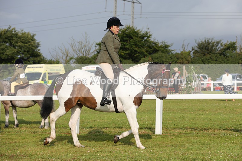 1X9A2835 - Class 25: Ridden Plaited Coloured Horse