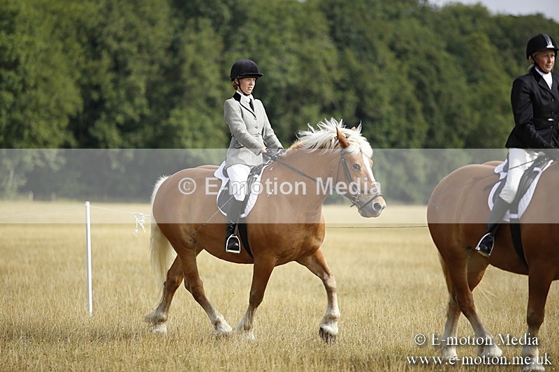 _C7A9259 - BVRC Show 2018 Ring 1