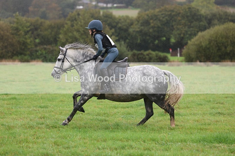 3E7A1029 - Class 1: 65cm: Rails