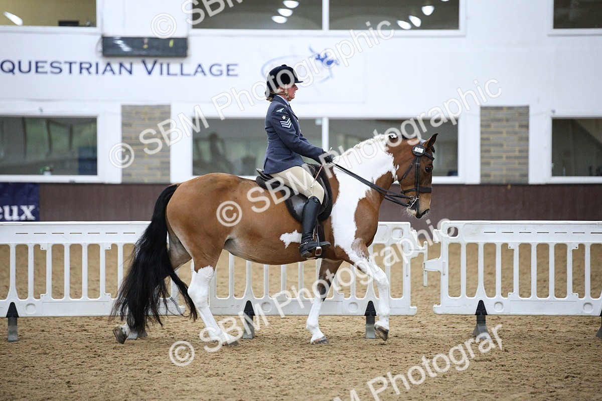 5K7A6063 - Class 48 - Ridden Mare