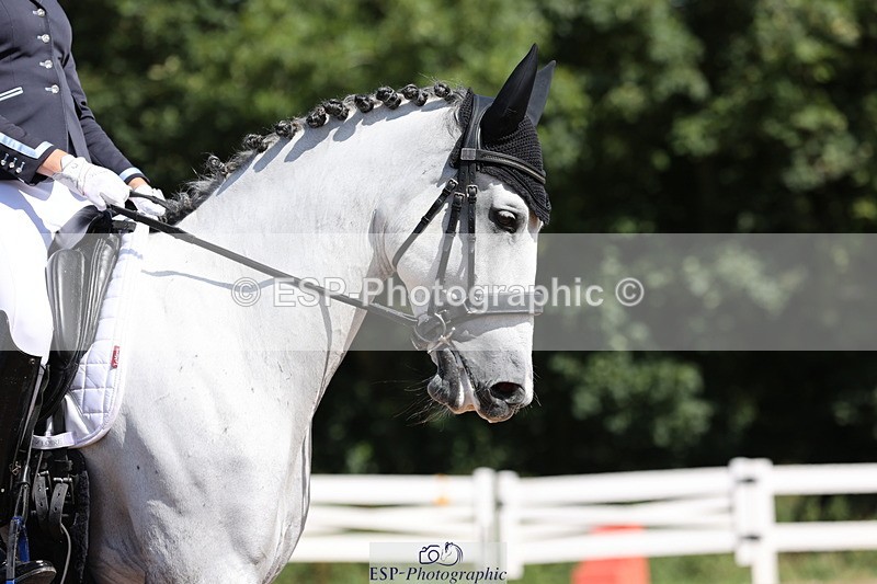 240816A-113916-04234 - 111-Roshan.Karkhairan-Naco.JMG