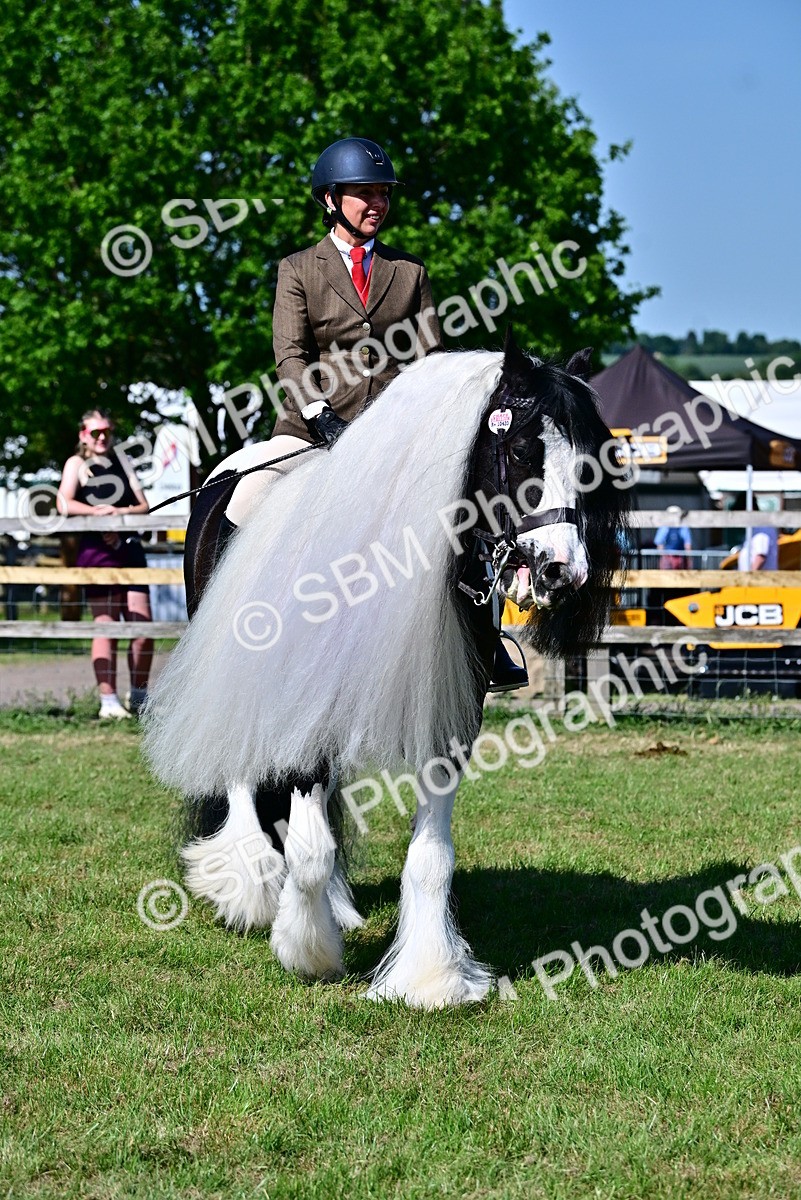 SBM_19376 - Class 101-102 - BSPS LIHS Performance Coloured Horse/Pony