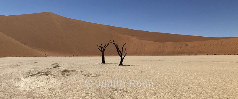 Dead Pan, Namibia - Namibia 2022