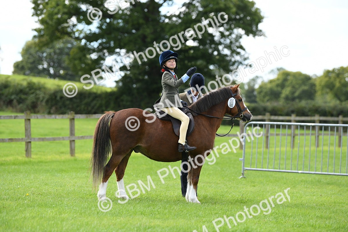SBM_42460 - S20 - Lead Rein Mountain & Moorland Pony