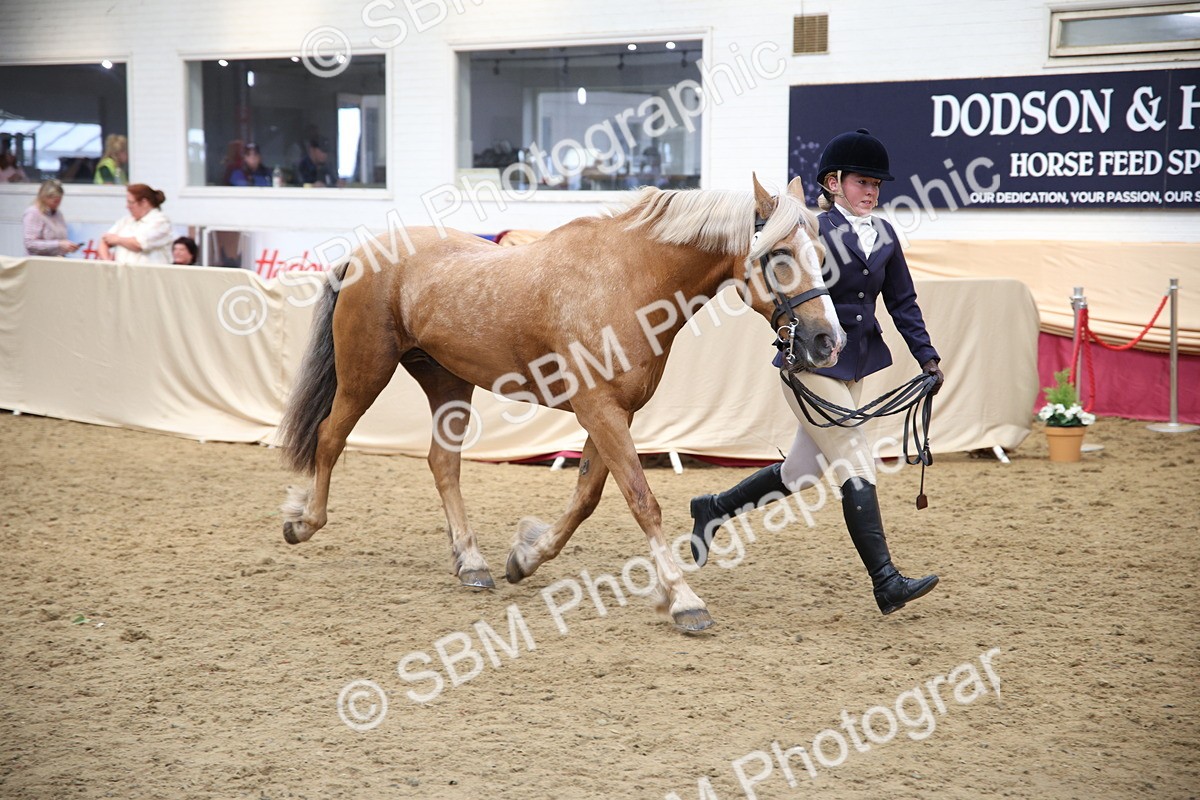 SBM_23369 - Class 904 - Supreme Final Ridden Diamond