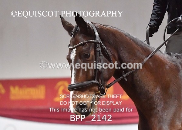 BPP_2142 - 16 - L ROSS