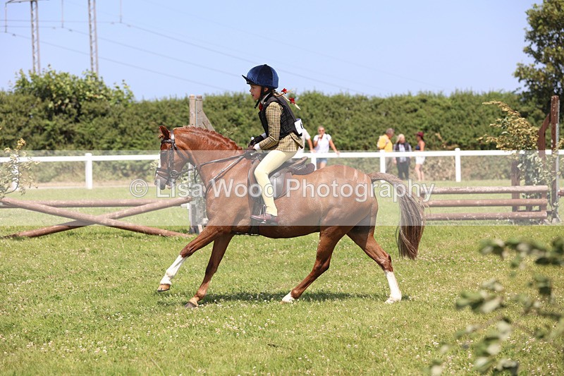 JPP_2511 - Class 21: Working Hunter 60cm