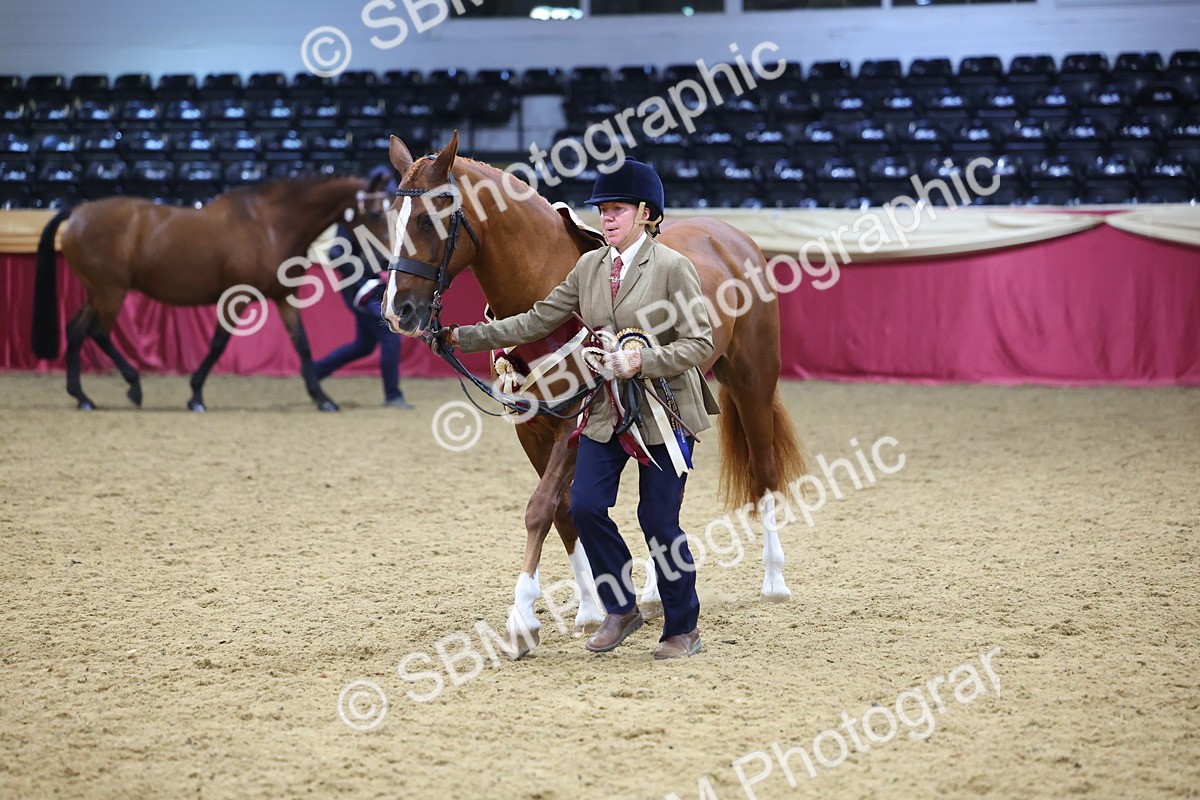 SBM_19822 - Class 901 - Supreme Final - IH Diamond