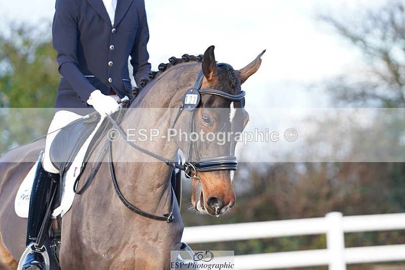 241214-101452-00136 - 127-Ben.James-Honesty