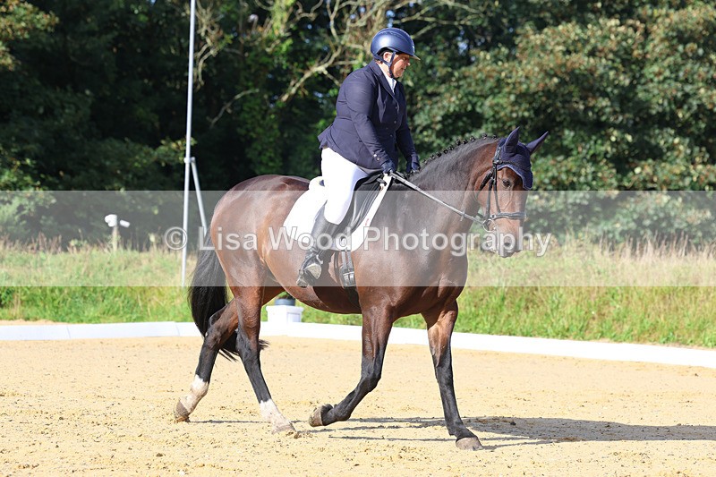 3E7A2054 - Class 1: Intro 4 2024 section A