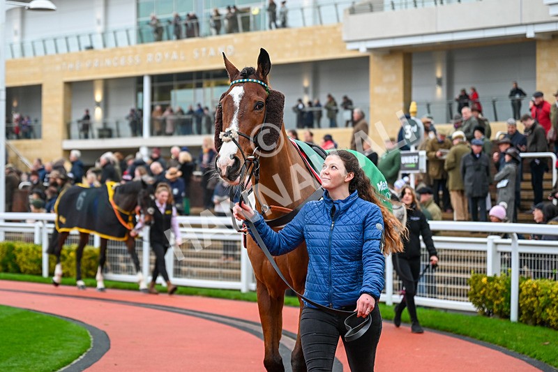 131224-Race 4-Our Power-9669 - Race 4