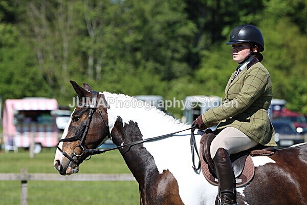 IMG_4078 - Working Hunter