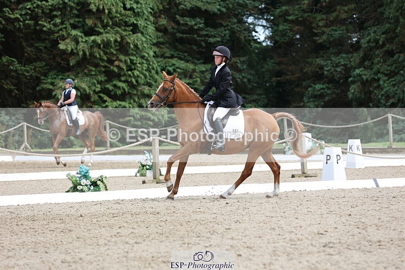 250718A-145240-02303 - 107-Beatrice.Coker-Brown-Portia.the.Fawn