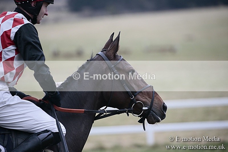 PtP 180218 713 - Combined Services Point-to-Point Larkhill 18/02/18