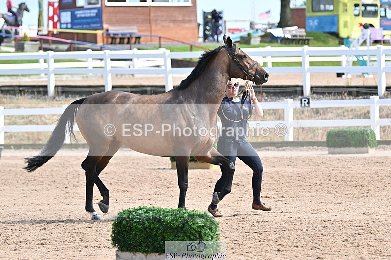 240717A-155439-03172 - Trot Up 3pm to 4pm