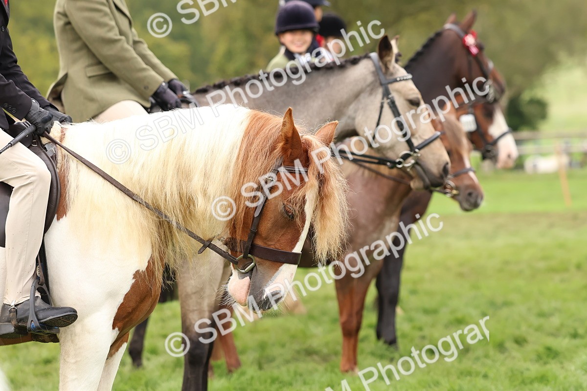 SBM_56712 - S40 - Starters Ridden Showing