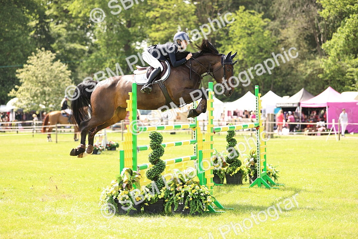 SBM_03130 - Class 201 - British Horse Feedds Speedi Beet HOYS Grade C