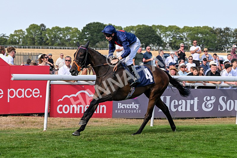 130826-Race 5-Wardlaw-9486 - Race 5 16.15pm Middle Distance Handicap