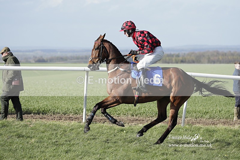 PtP 100423 1278 - Old Berkshire Point-to-Point Lockinge 10/04/23