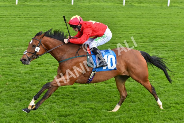 yr11052022r3-27 - Race 3 3.00pm 1895 Duke of York Clipper Logistics Stakes