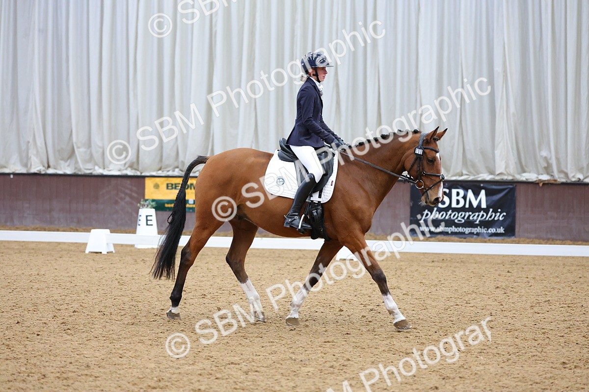 SBM_003056 - Novice