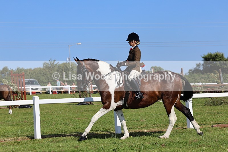 IMG_1663 - Skewbald and Piebald Ridden Championship