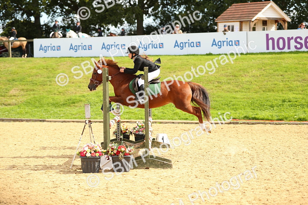 SBM_66013 - J17 - Junior Pony 80cm Championship