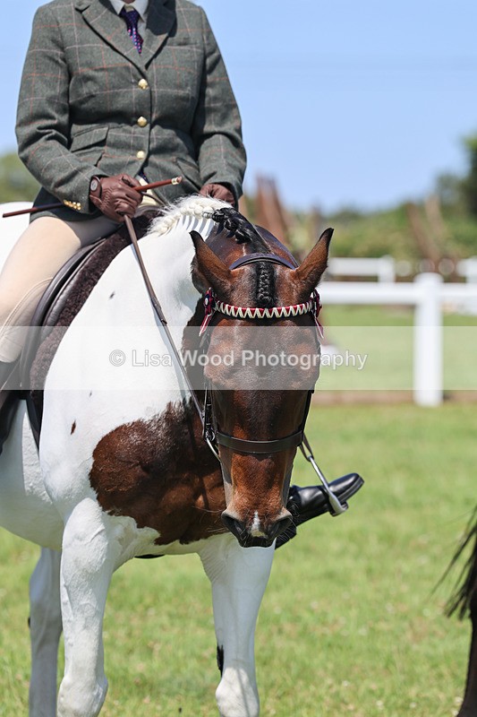 IMG_2550 - Class 38: Veteran Ridden