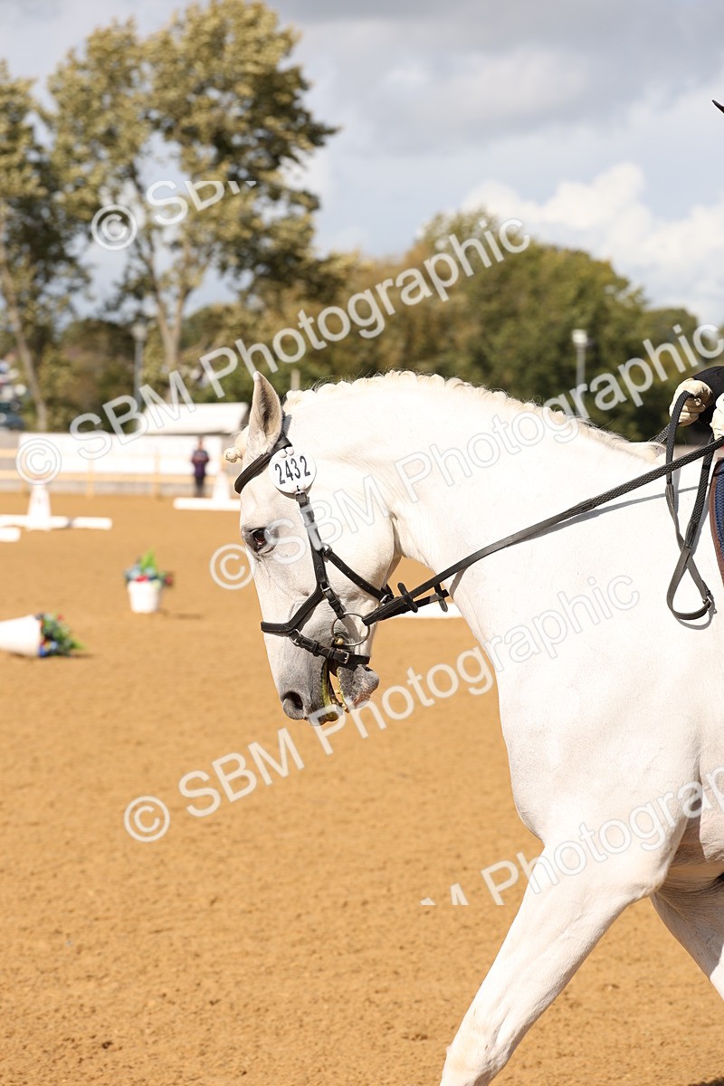 SBM_24536 - D17 - Grand Tour Championship Novice 3