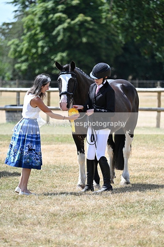WJ7_2046 - Class 4a Prettiest Mare 14.2hh and over hand