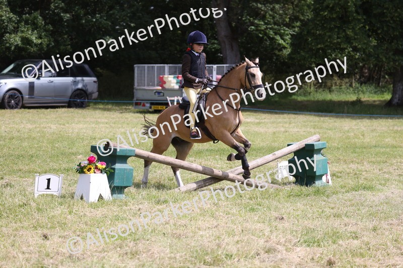 20260614-1885 - Class 21 - Novice Working Hunter Pony