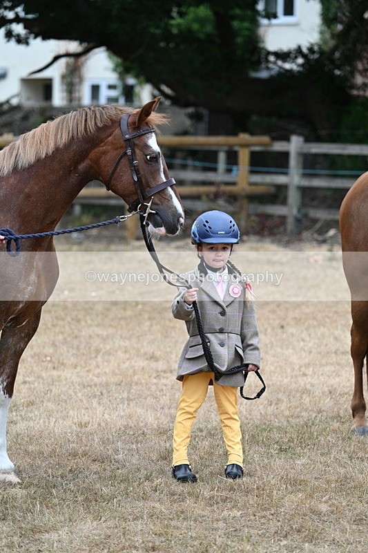 WJ7_8129 - Class 4 Prettiest Mare up to 14.2hh