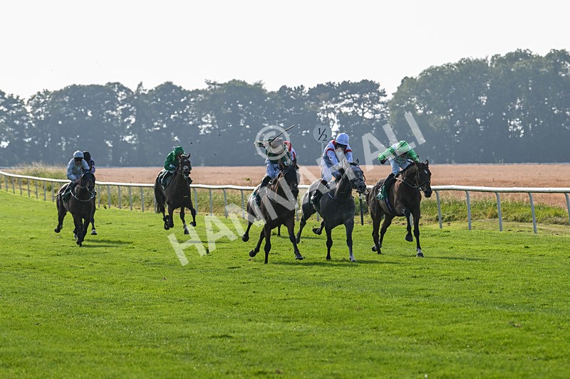 300824-Race 7-The Crafty Mole-6455 - Race 7