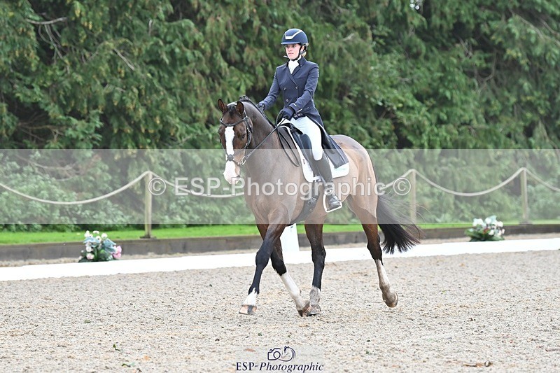 231019-104519-01952 - 103-BEECH.HILL.KIKO.CLOVER-Harriet.Blair-DR