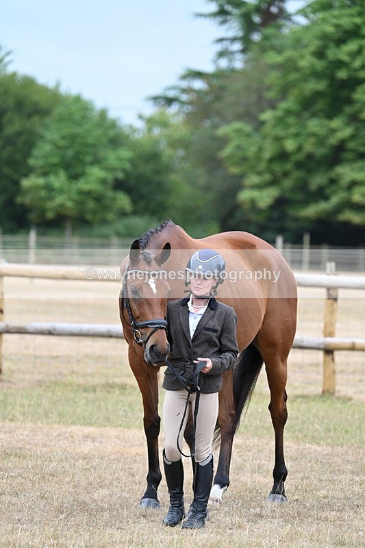 WJ7_9896 - Class 5a Most Handsome Gelding (above 14.2hh)