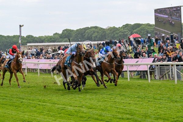 150525-Old Cock-4061 - Race 2 2.42pm Oakmere Homes Hambleton Handicap