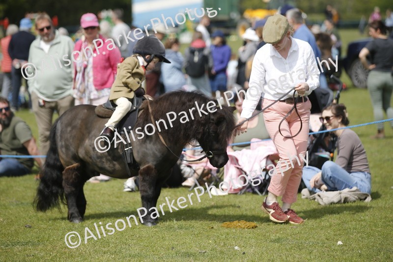 20260426-1837 - Class 7 - Pony Judge Would Most Like To Take Home