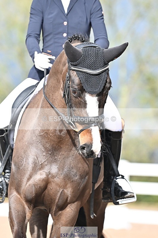 240218A-103348-05578 - 161-Katie.Warner-Active.Nuvalari