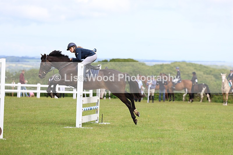3E7A7607 - Class 13: Senior British Novice/90cm open