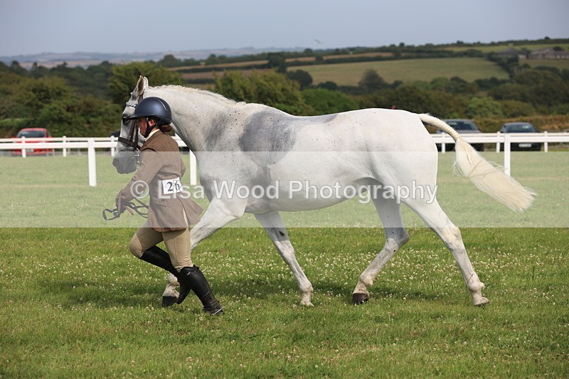 JPP_4307 - Class 25: Working Show Horse