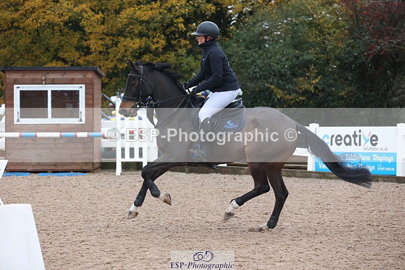 231112A-095253-03101 - Cls 17 Blue Chip Novice Winter Qualifier