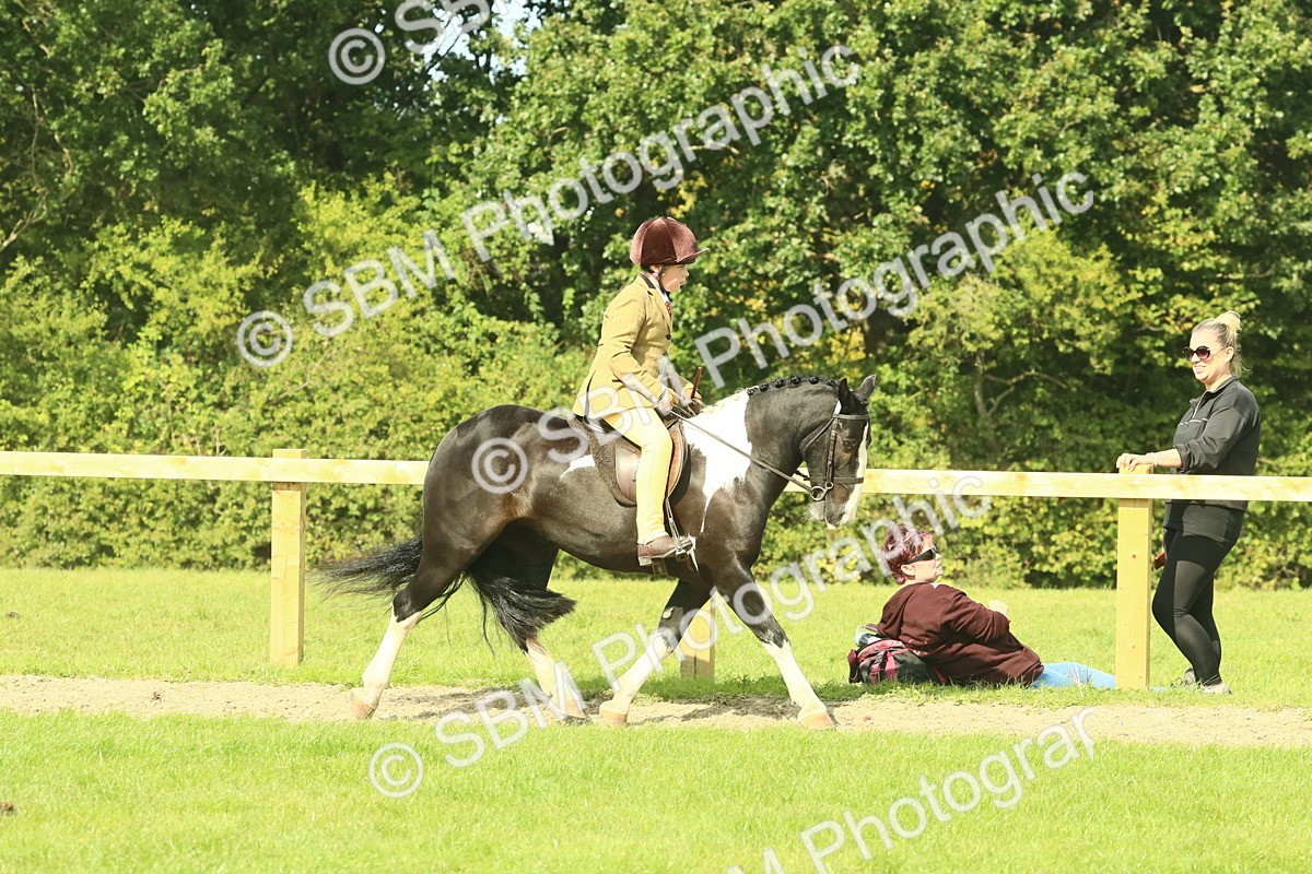 SBM_67408 - S56 - Coloured Pony Ridden