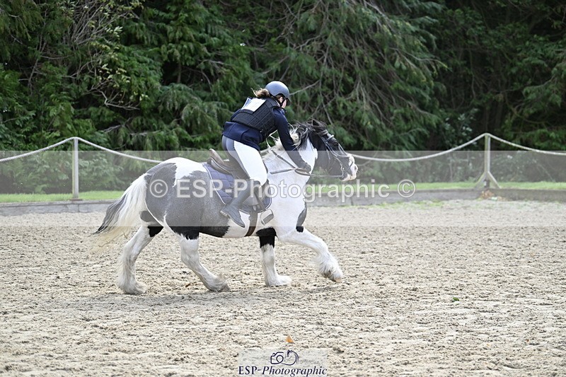 251005A-121451-03679 - Cls 08 Mini 70-75cm