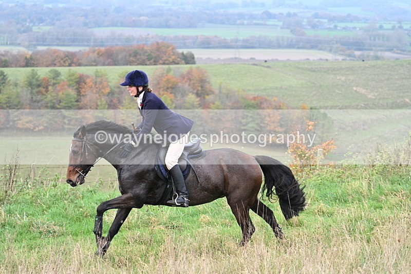 WJ7_0015 - Camera 1 & Last fence