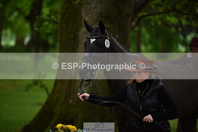 240522-155054-00526 - 101-MORELANDS_CASANOVA-Daisy_Bathe