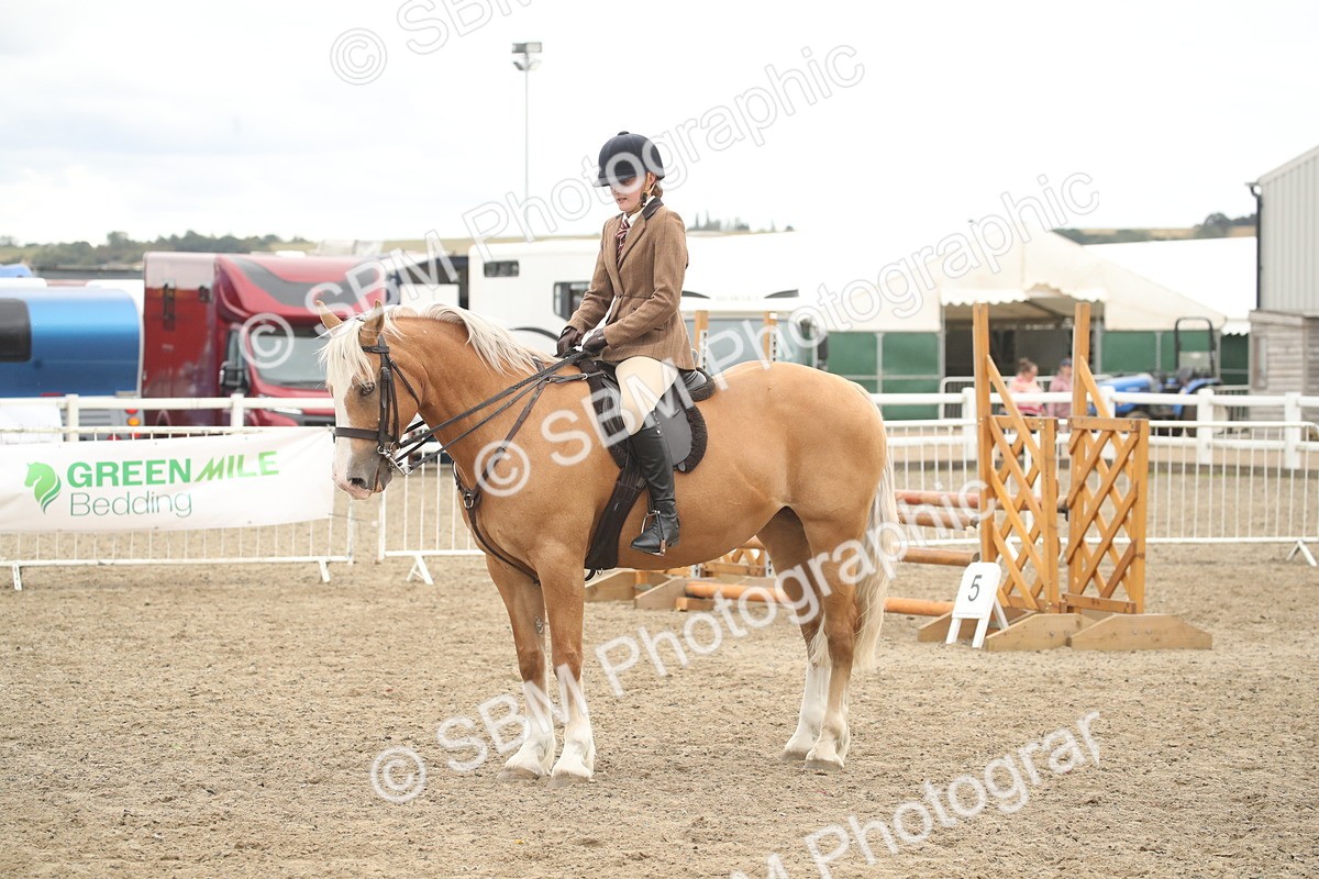 SBM_18310 - Class 509a - Working Veteran - 80cm (15-19)