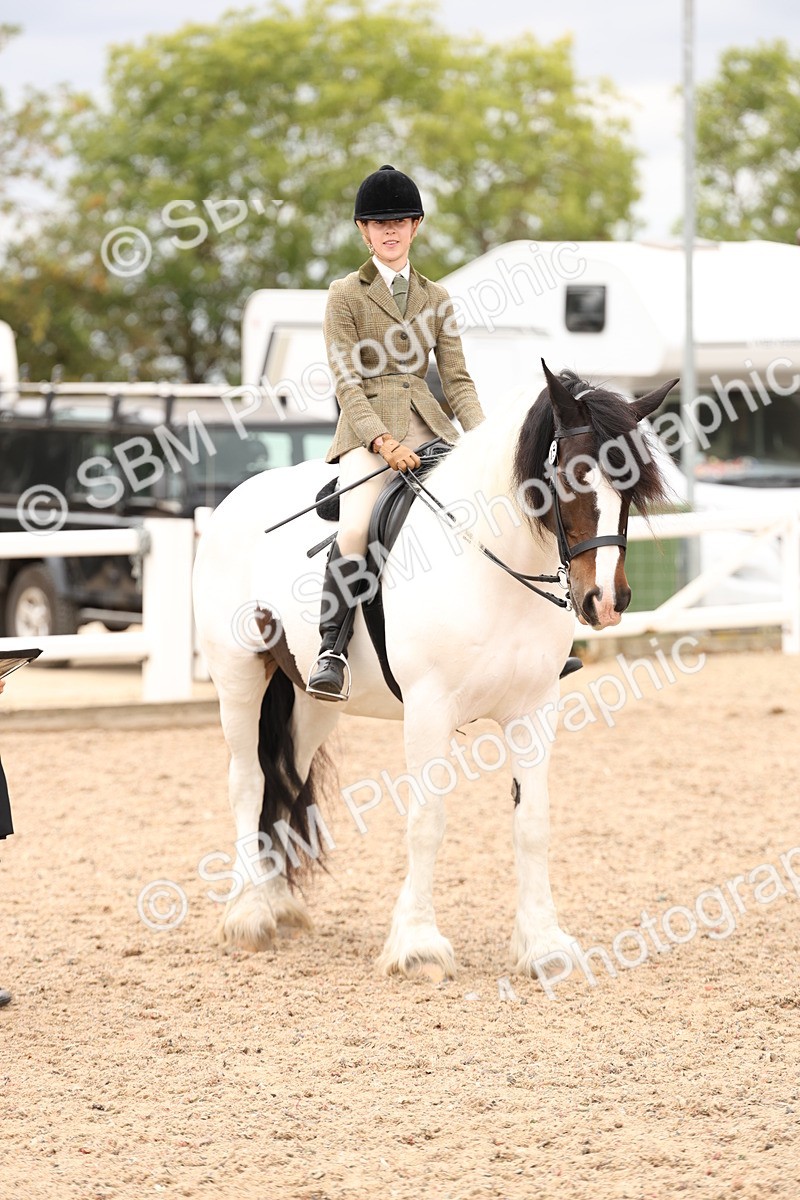 SBM_19700 - Class 216 - Ridden Traditional - Native Cob