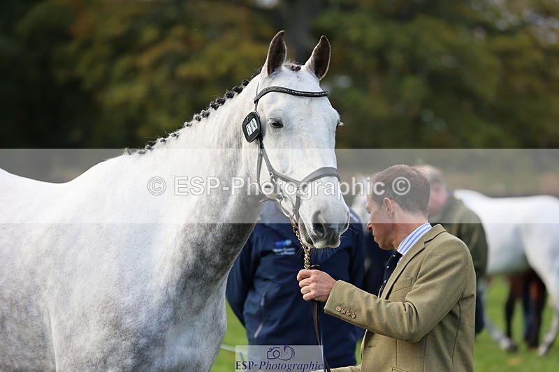 251026A-102120-22916 - E-389-Will.van.Ufford